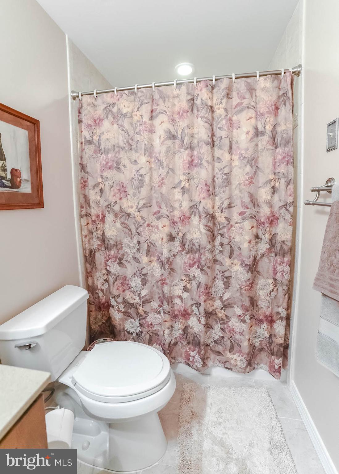 44350 Richey Road Leonardtown, MD 20650 - Photo 42 of 73 Main Level Guest Bath