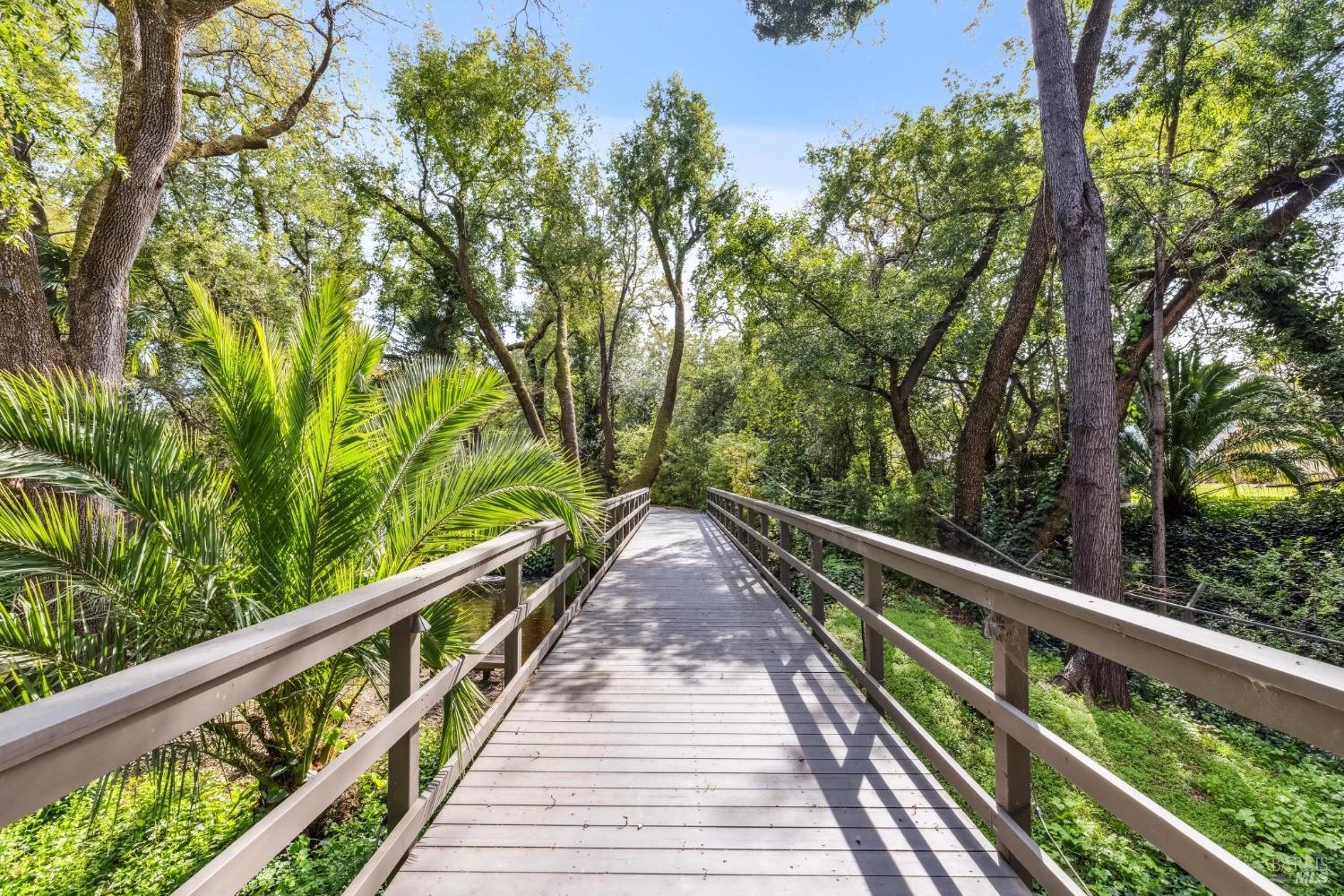 110 Mountain View Avenue San Rafael, CA 94901 - Photo 39 of 83 Walking bridge across the natural creek and the pond towards the bocce ball court