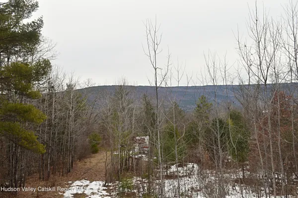$200,000 | 169 Tae Kwon Road, North Blenheim, NY 12131
