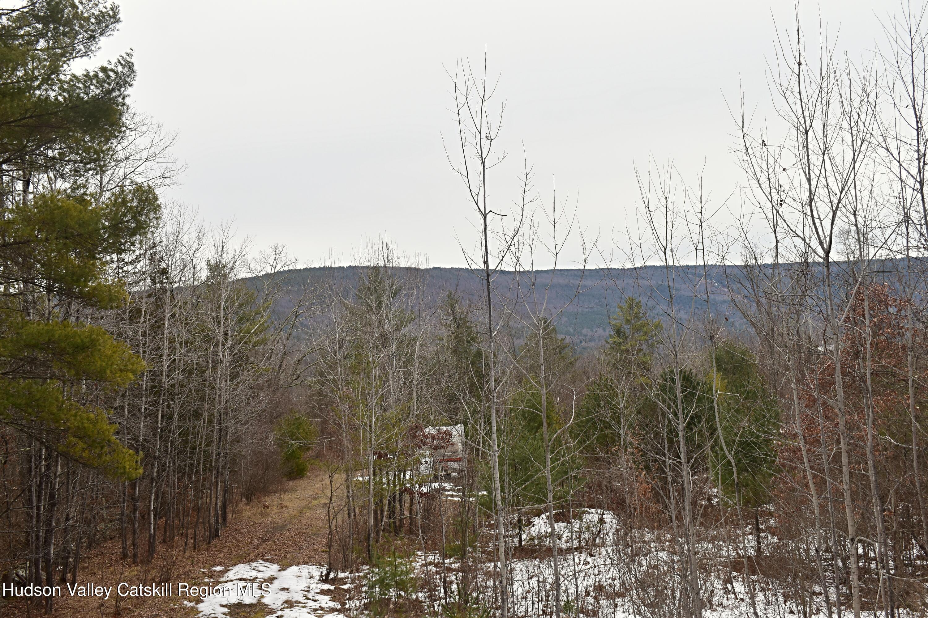 169 Tae Kwon Road North Blenheim, NY 12131 - Photo 4 of 12 a view of a forest