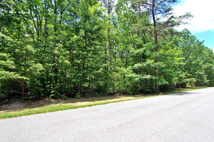 0 Stewart Lane, Unit LOT 11 Rising Fawn, GA 30738 - Photo 8 of 13 Lot 11 StewartIMG_0060