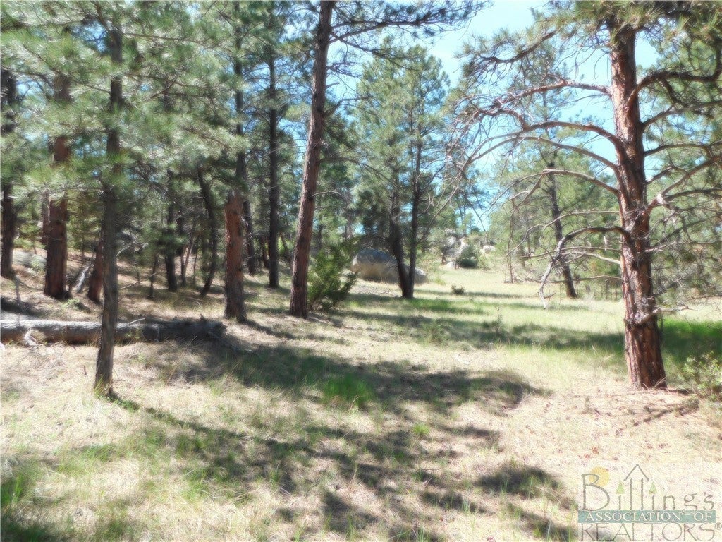 39 Box Canyon Road Roundup, MT 59072 - Photo 1 of 1 Gallery Image 1