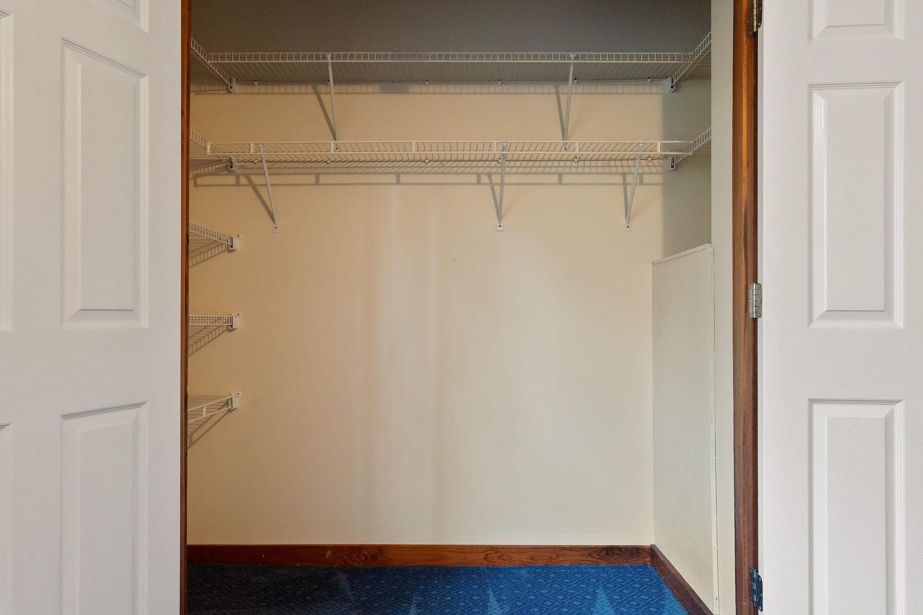 1693 Dads Road Baker, FL 32531 - Photo 52 of 78 Closet