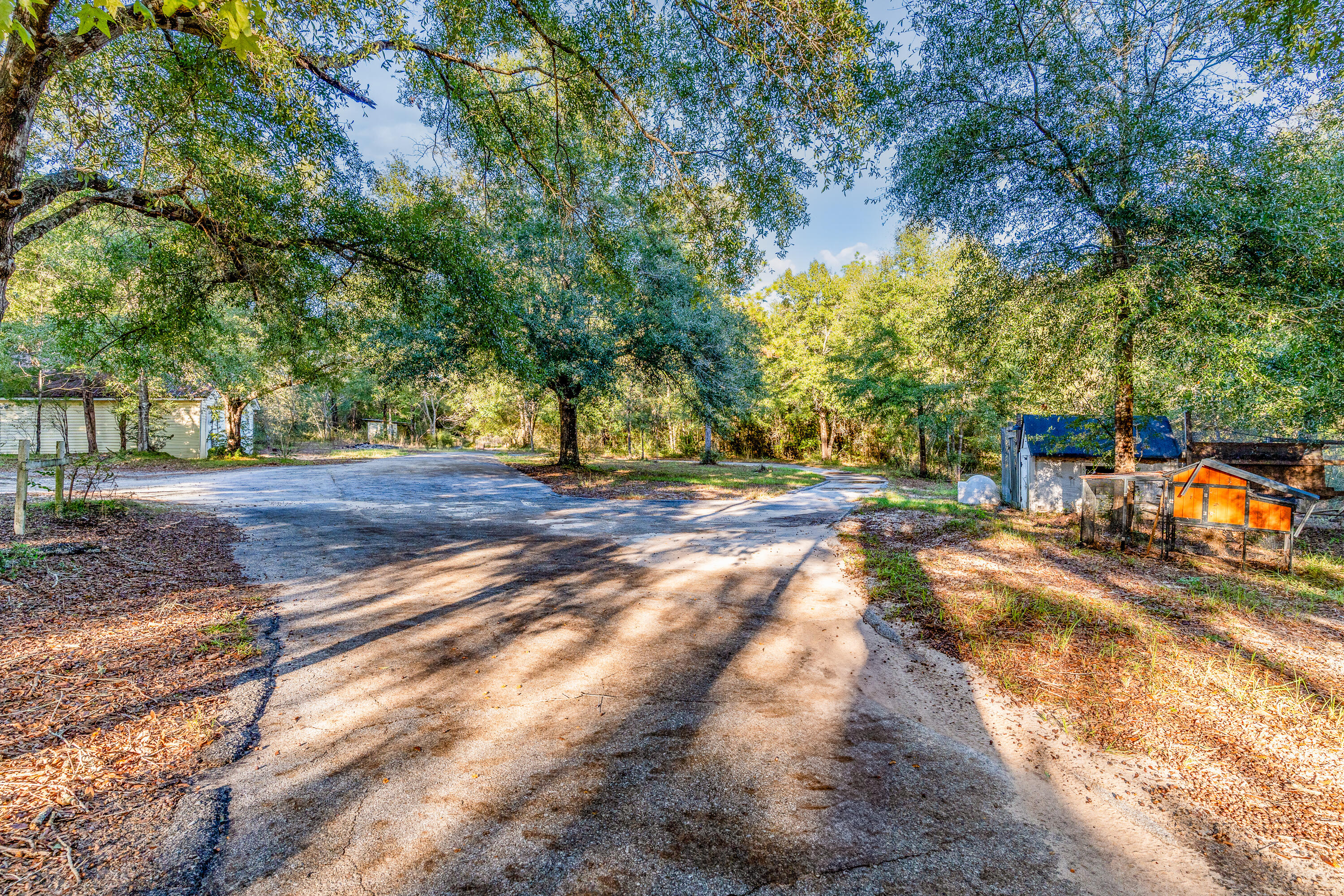1693 Dads Road Baker, FL 32531 - Photo 70 of 78 Long Paved Driveway