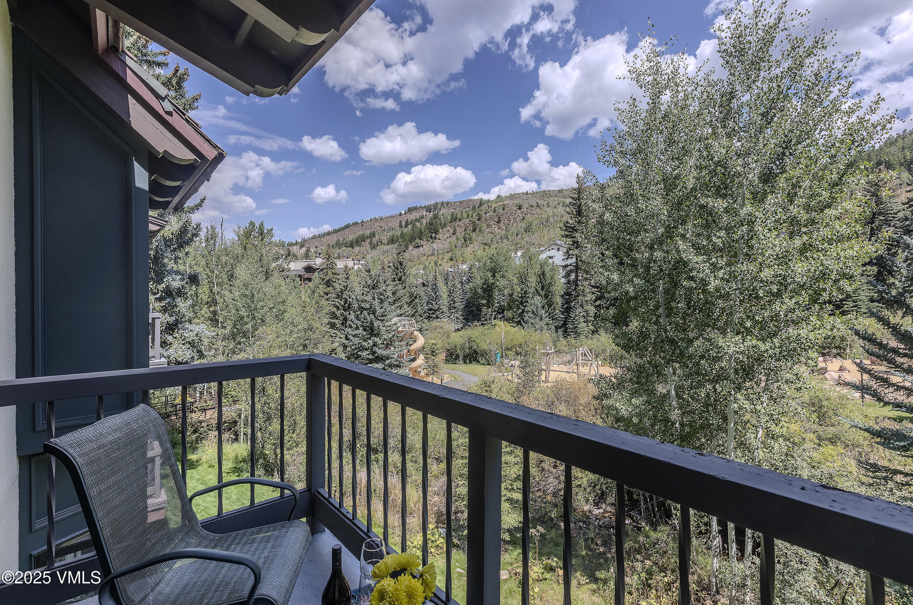 1156 Village Road, Unit A303 Beaver Creek, CO 81620 - Photo 9 of 25 0E7A0032-HDR