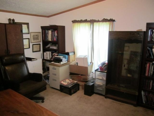 50 Powell Road Hastings, MI 49058 - Photo 11 of 18 Additional Photo
