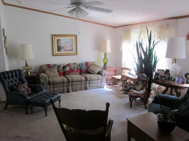 50 Powell Road Hastings, MI 49058 - Photo 4 of 18 Additional Photo