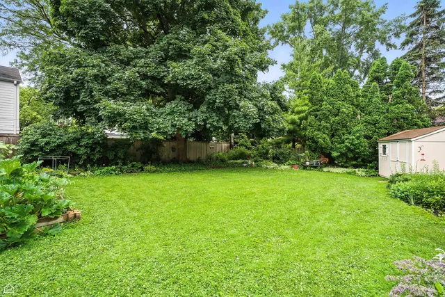 a view of a backyard