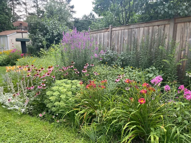 a view of a garden with flowers and wooden fence