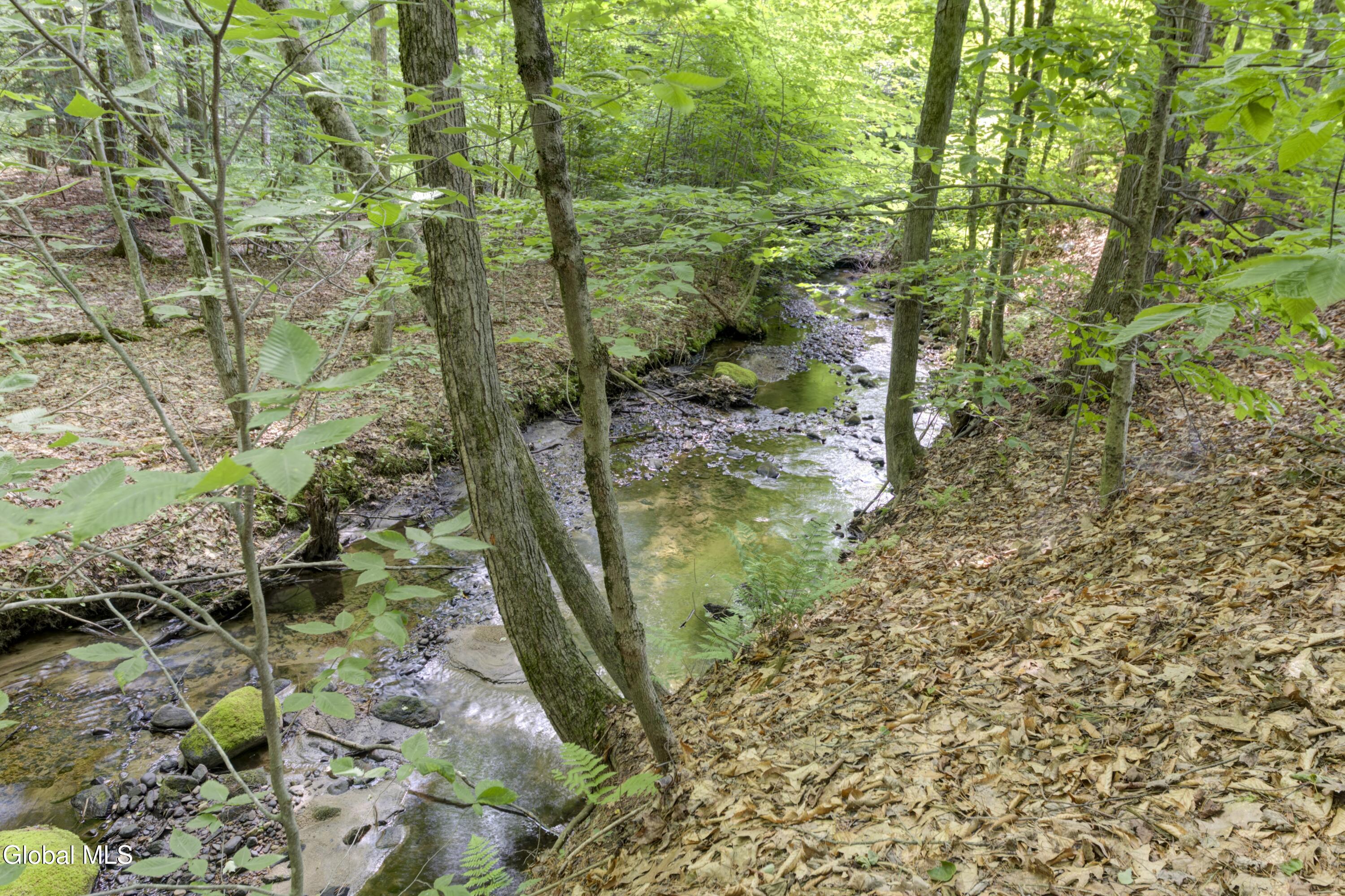 658 Coy Road Greenfield, NY 12833 - Photo 33 of 34 658 Coy Rd-10