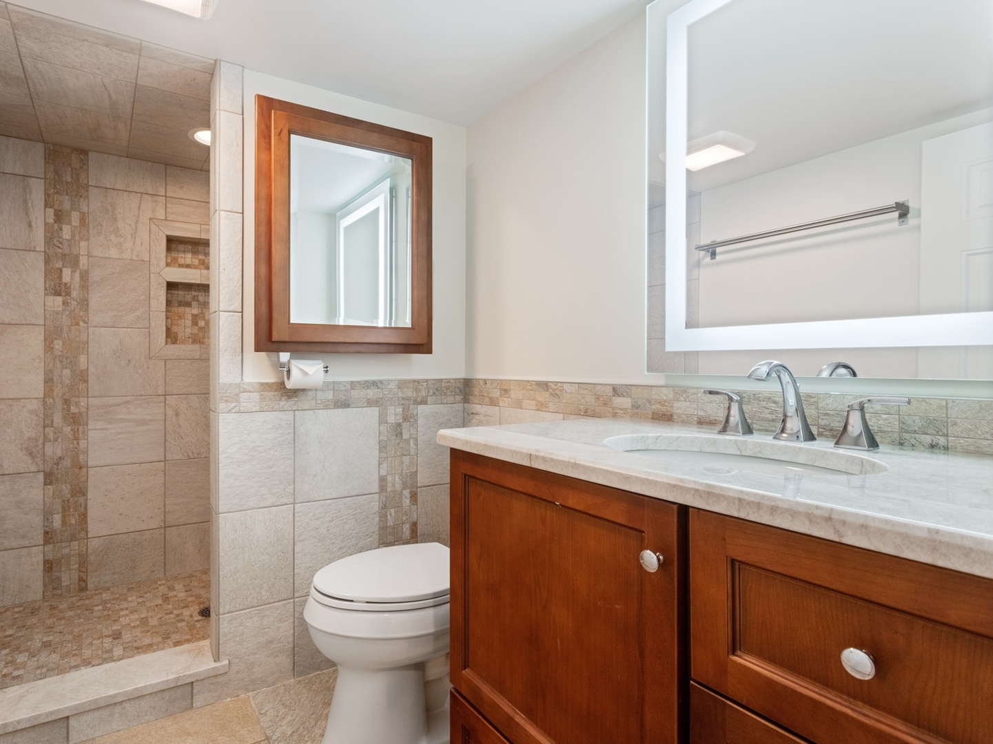 470 East Westleigh Road Lake Forest, IL 60045 - Photo 22 of 28 a bathroom with a granite countertop sink a toilet and a mirror