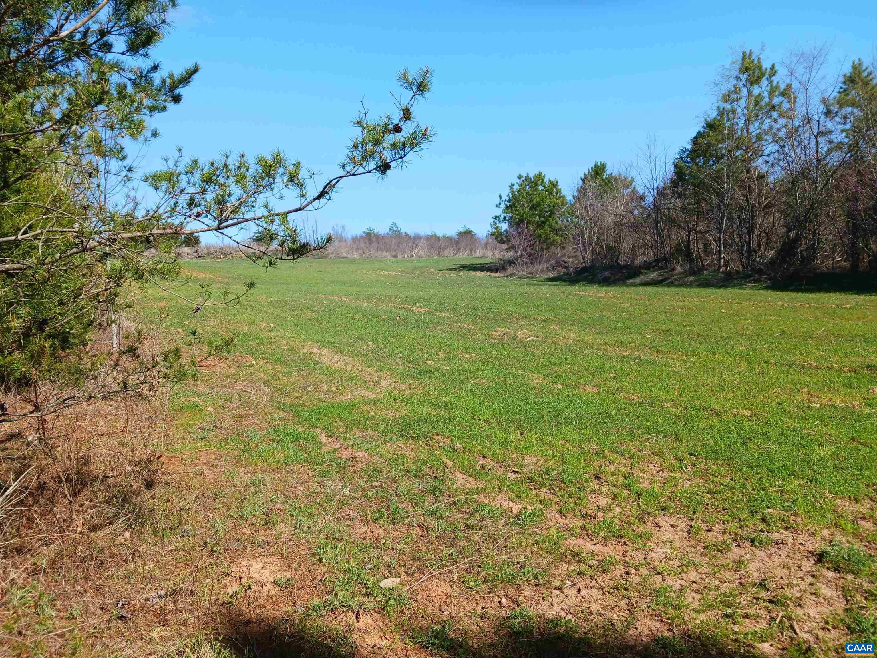 Lot 7 Saw Mill Road Farmville, VA 23901 - Photo 8 of 10 Gallery Image 8