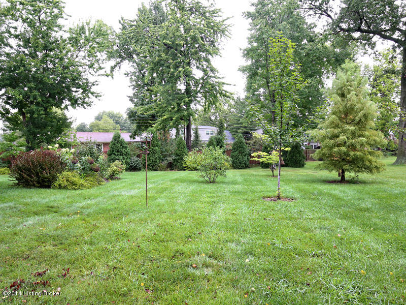 303 Blue Ridge Road Louisville, KY 40223 - Photo 44 of 47 IMG_0925