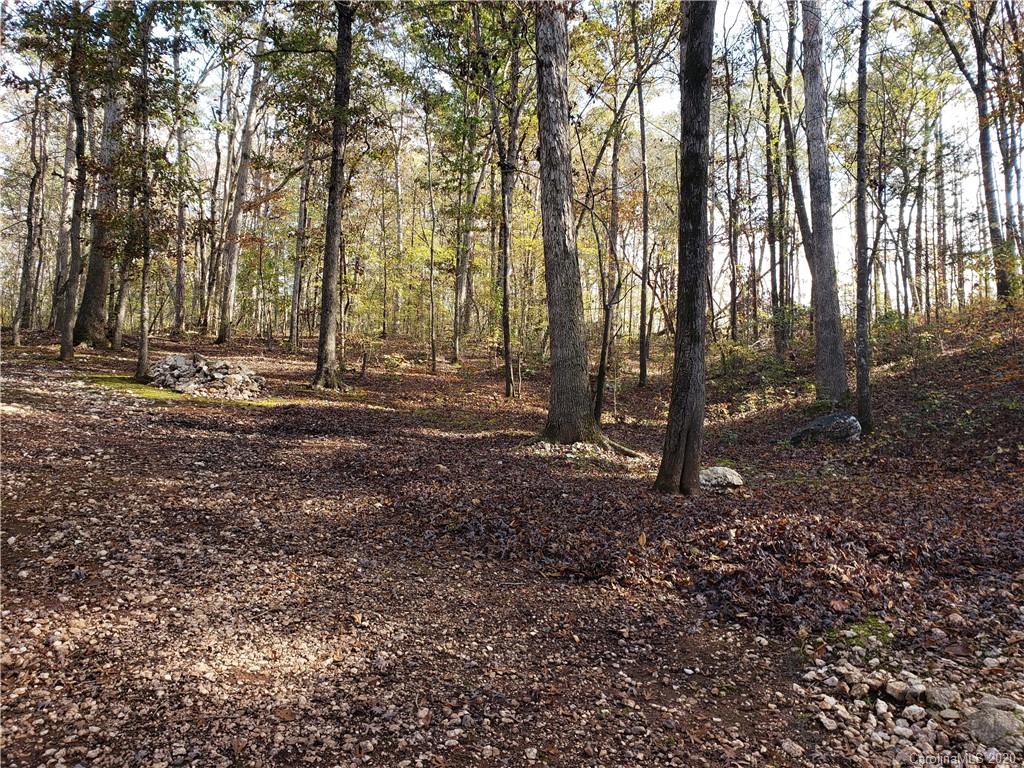 158 Edwards Store Road Peachland, NC 28133 - Photo 34 of 35 Gallery Image 34
