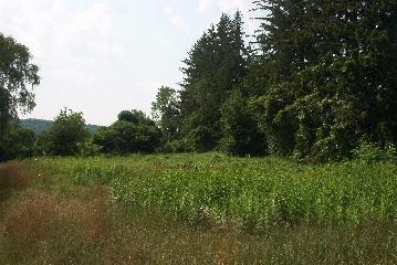 409 Stockbridge Road Great Barrington, MA 01230 - Photo 1 of 1 Primary Photo