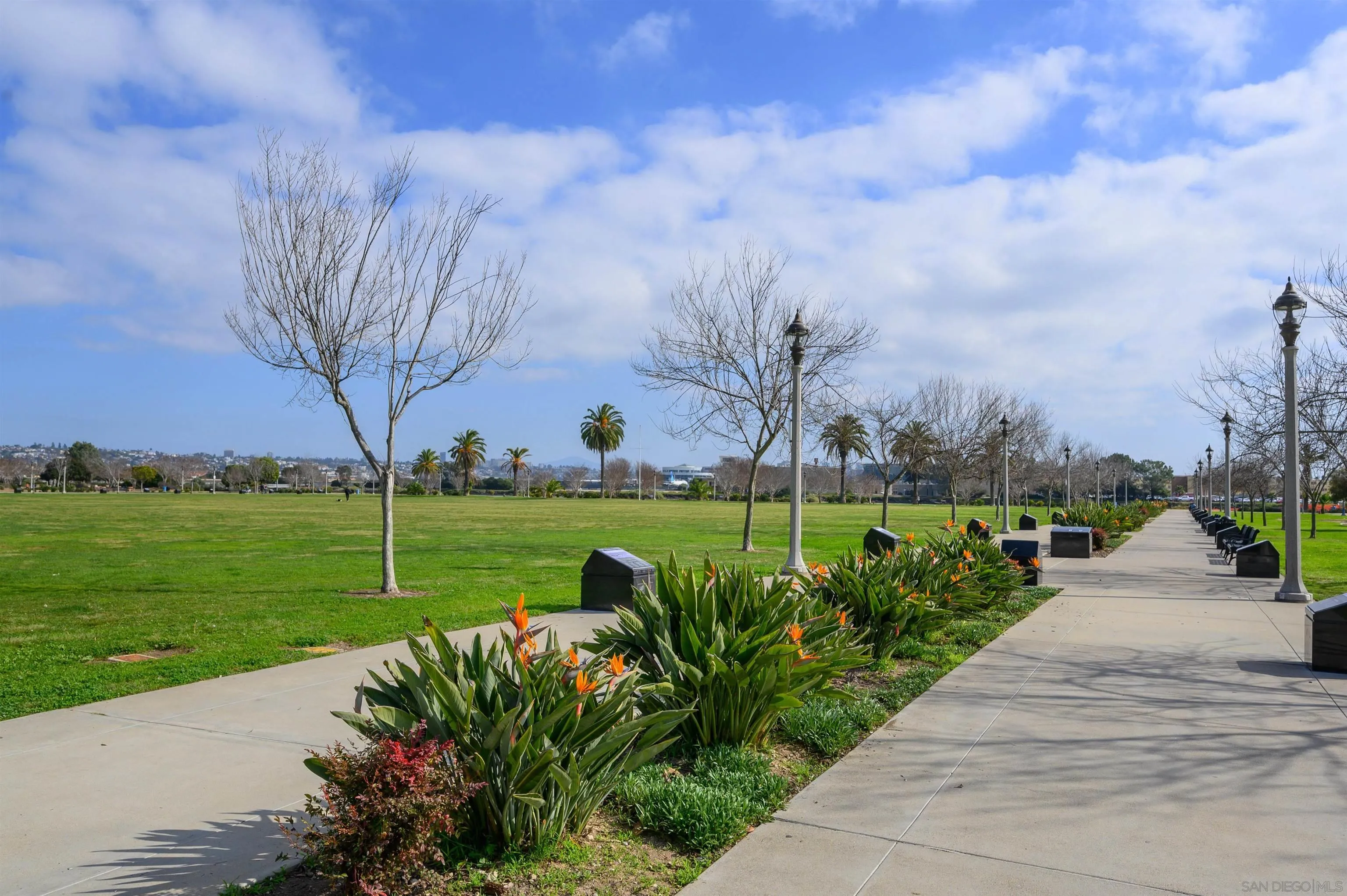2873 West Bainbridge Road San Diego, CA 92106 - Photo 51 of 54 a view of a park with large trees