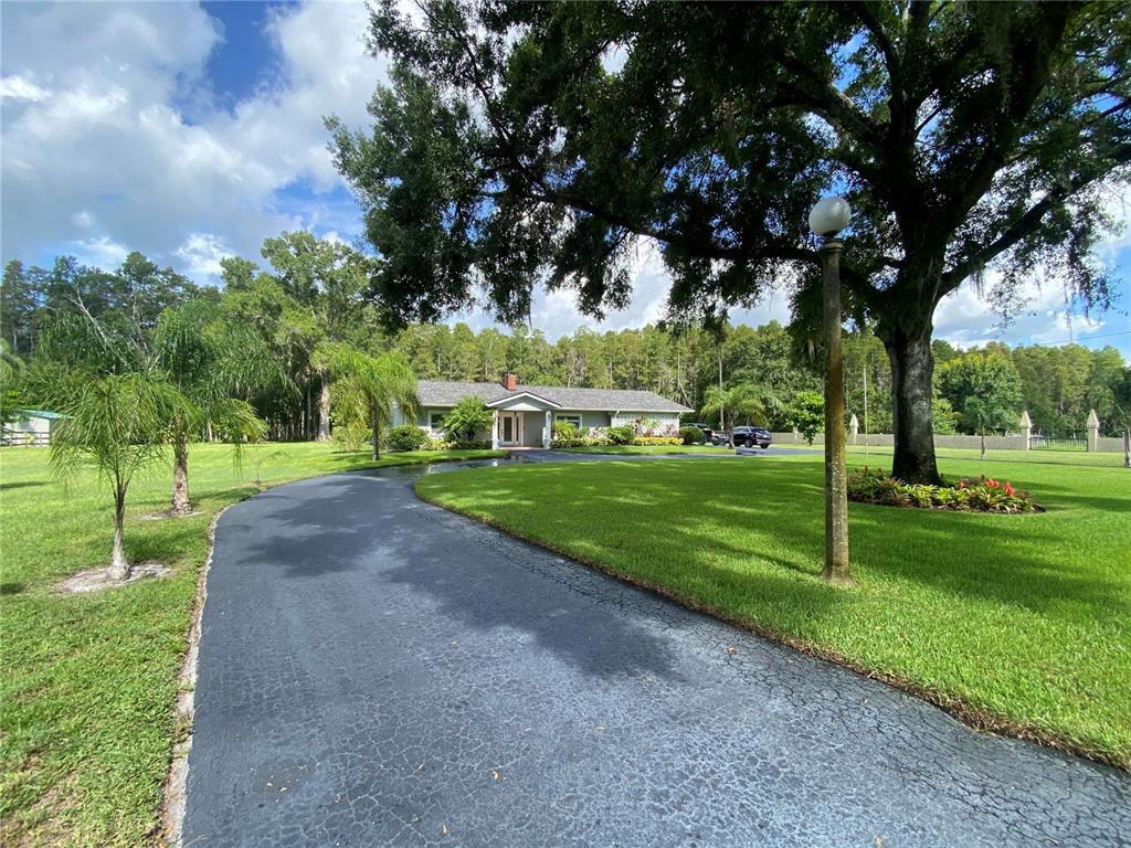 16918 Tobacco Road Lutz, FL 33558 - Photo 4 of 99 Gallery Image 4