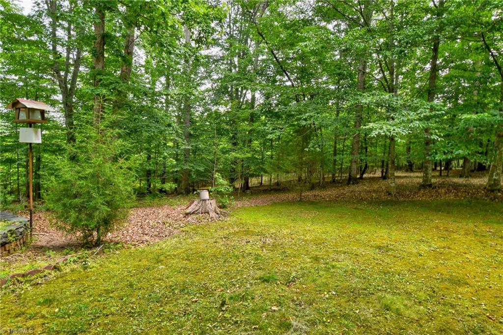 3001 Woodville Road Lewisville, NC 27023 - Photo 29 of 43