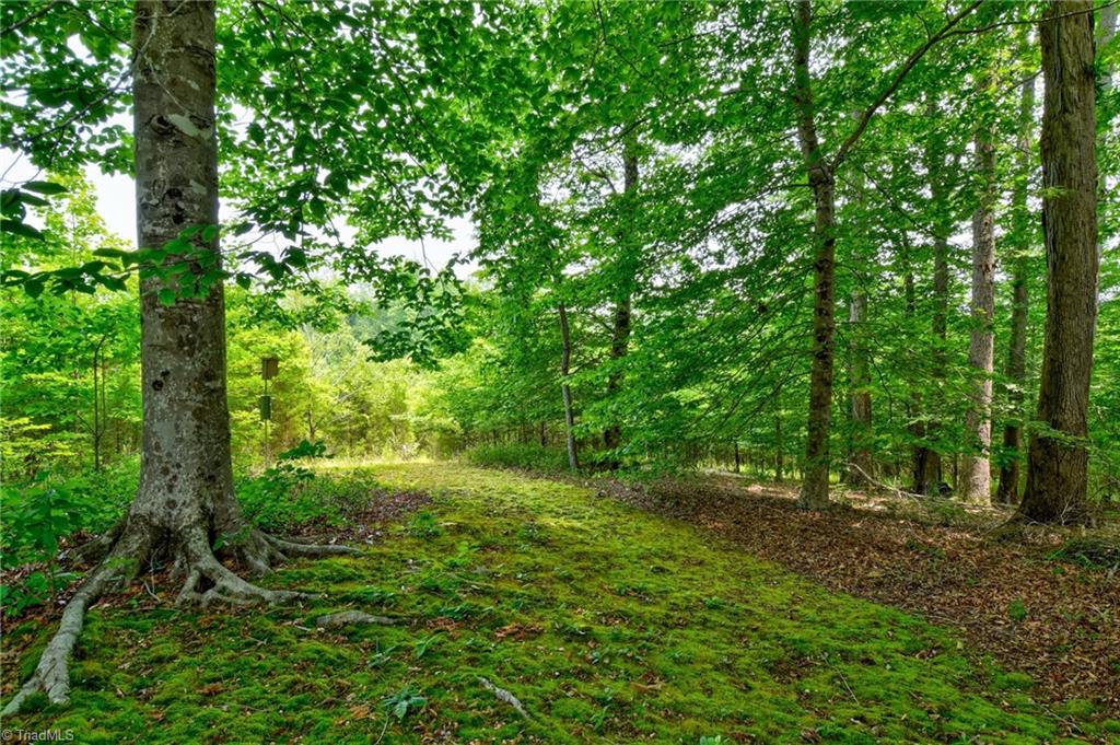 3001 Woodville Road Lewisville, NC 27023 - Photo 32 of 43