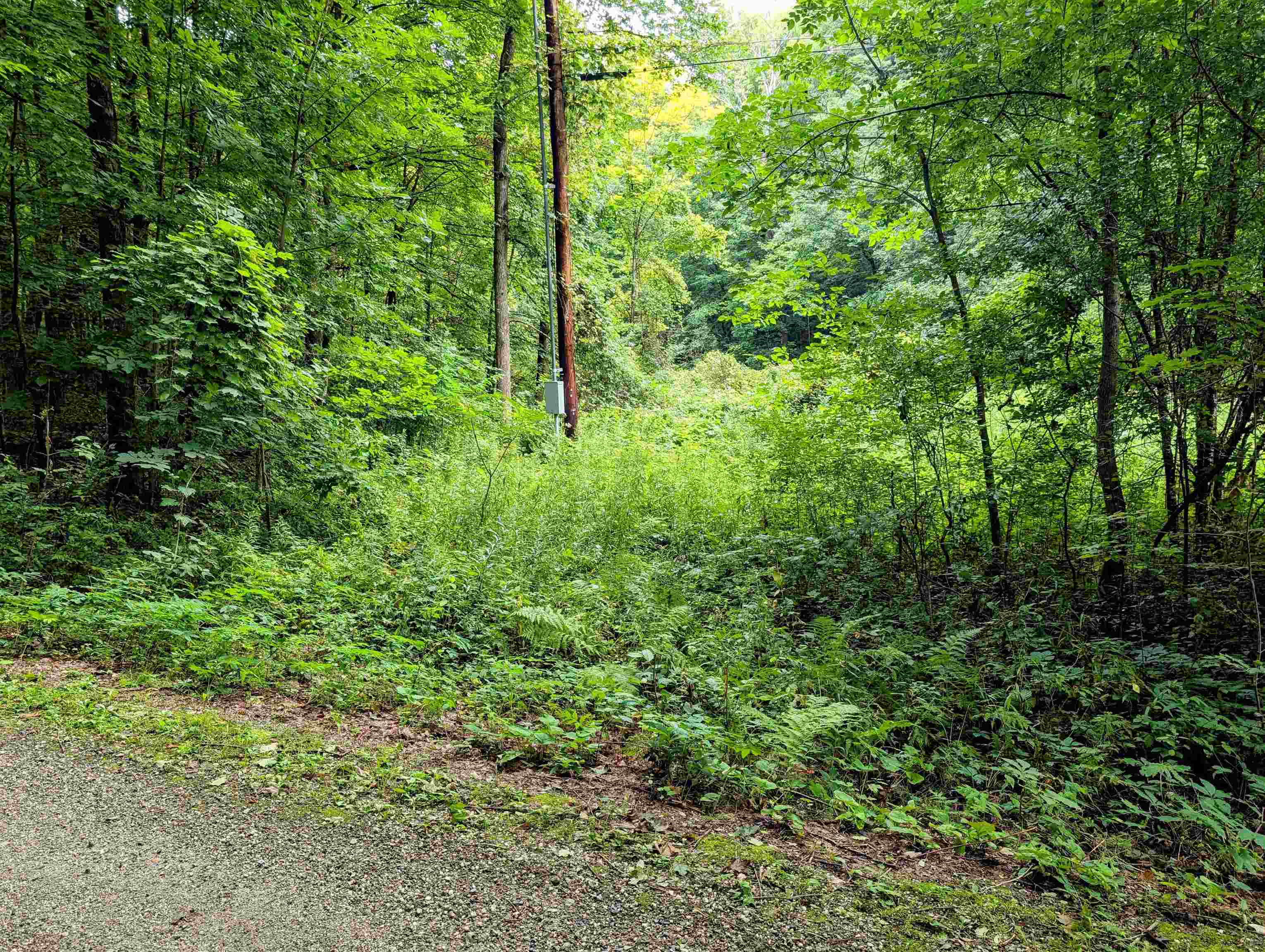 Lot 2 Winterbottom Rd Street Williston, VT 05495 - Photo 8 of 19 Gallery Image 8
