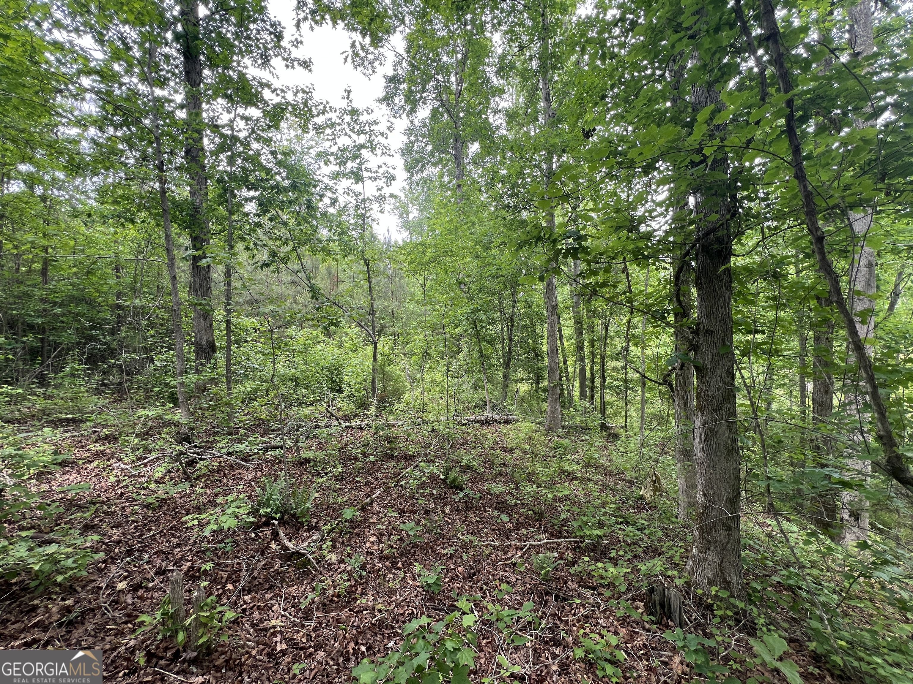 0 Bethlehem Church Road Grantville, GA 30220 - Photo 10 of 22