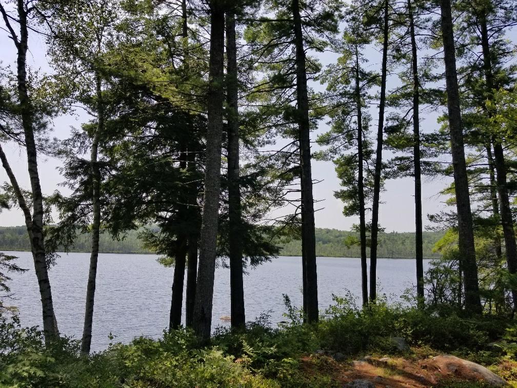 113 North Pond Road Chesterville, ME 04938 - Photo 19 of 35 20180806_135727_resized