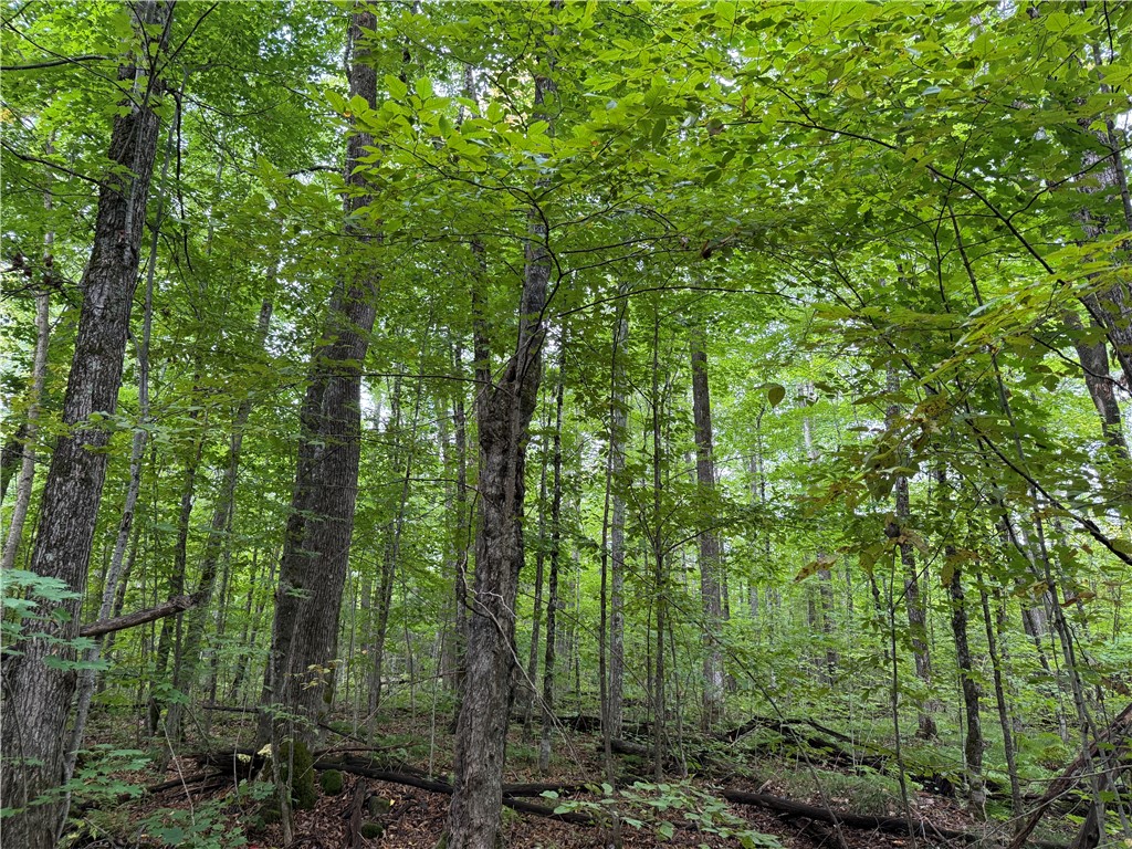 9598 County Rd L Lake Nebagamon, WI 54849 - Photo 1 of 1