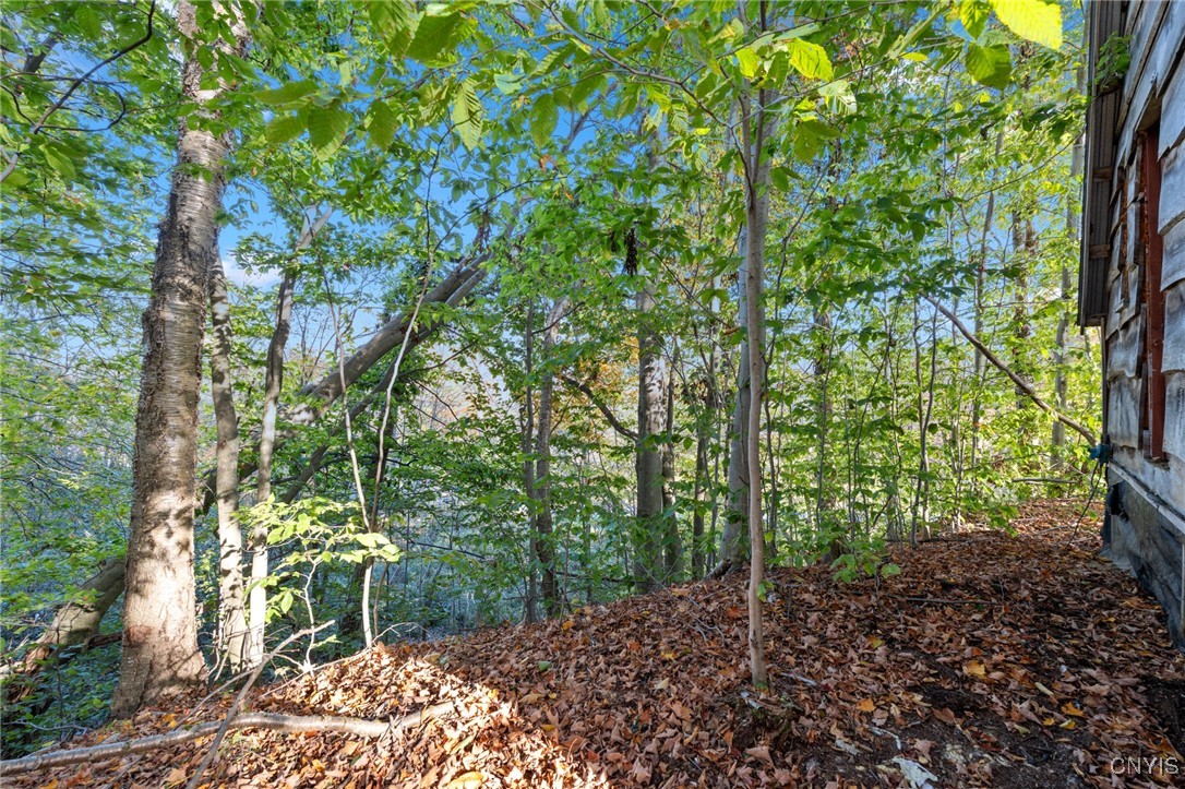 5539 Brown Road Lorraine, NY 13605 - Photo 16 of 29