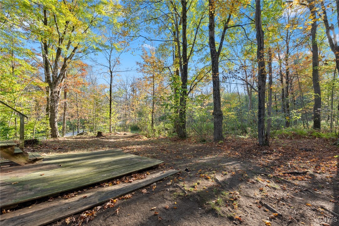 5539 Brown Road Lorraine, NY 13605 - Photo 17 of 29