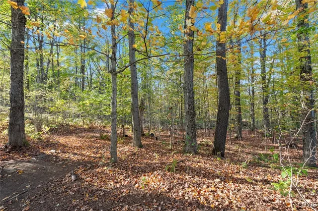 $25,000 | 5539 Brown Road, Lorraine, NY 13605