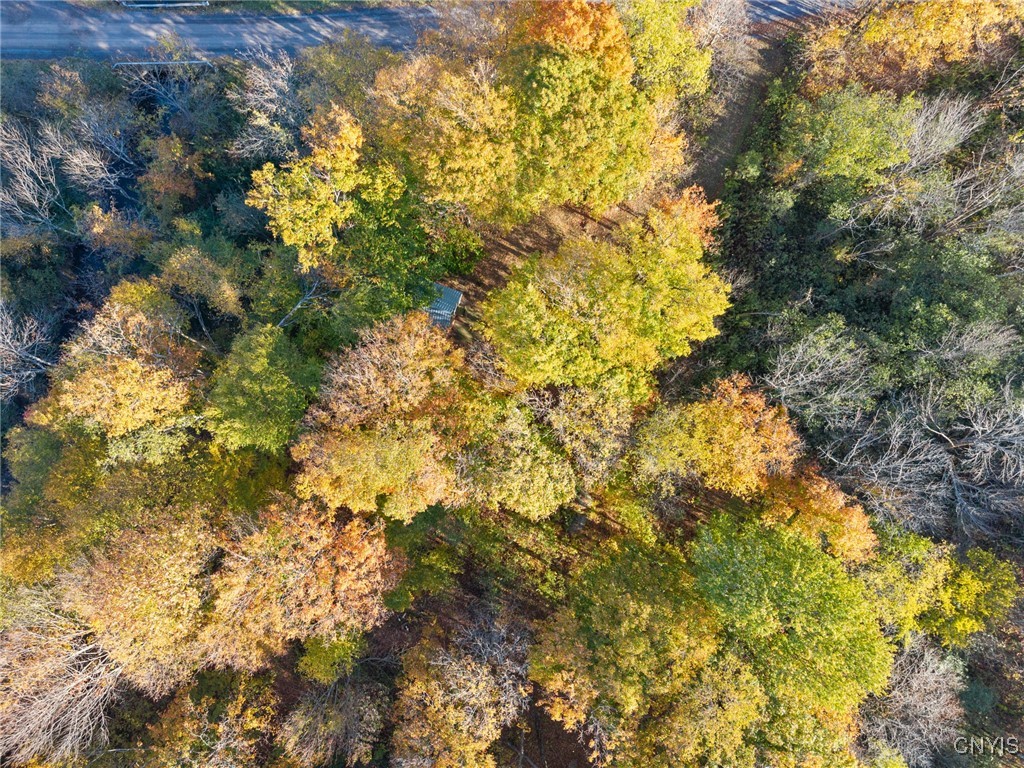 5539 Brown Road Lorraine, NY 13605 - Photo 19 of 29