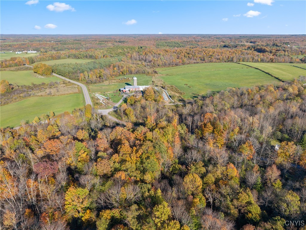 5539 Brown Road Lorraine, NY 13605 - Photo 20 of 29