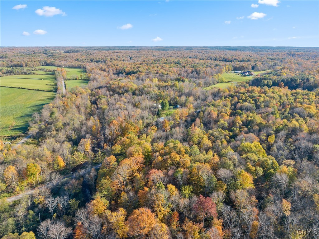 5539 Brown Road Lorraine, NY 13605 - Photo 21 of 29