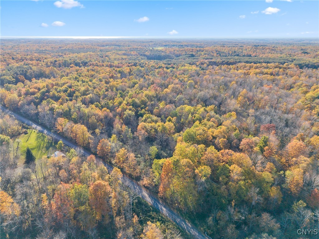 5539 Brown Road Lorraine, NY 13605 - Photo 22 of 29