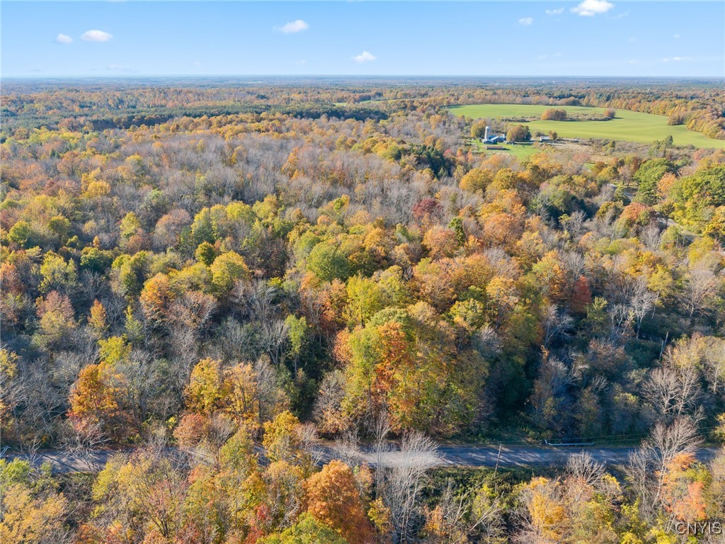 5539 Brown Road Lorraine, NY 13605 - Photo 23 of 29