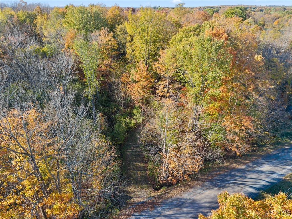 5539 Brown Road Lorraine, NY 13605 - Photo 25 of 29