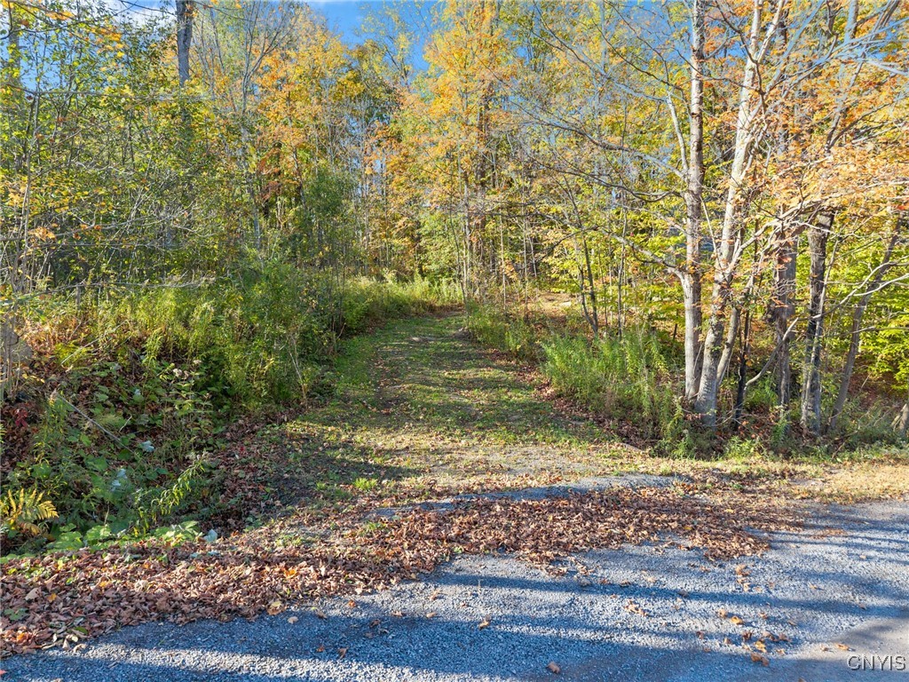 5539 Brown Road Lorraine, NY 13605 - Photo 26 of 29