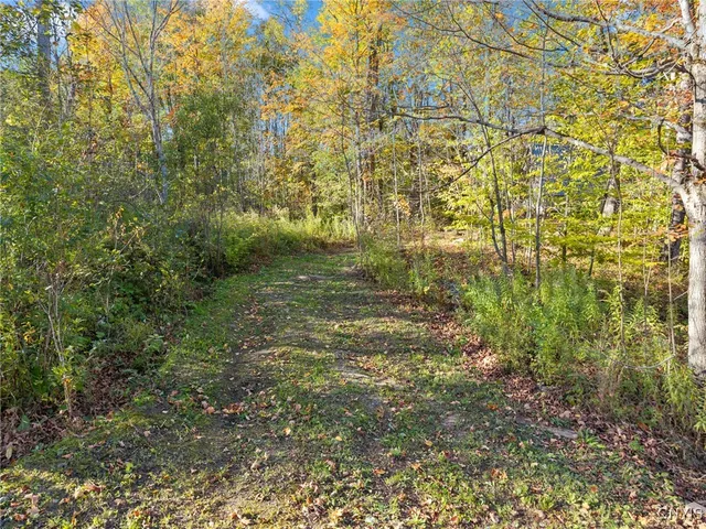 $25,000 | 5539 Brown Road, Lorraine, NY 13605