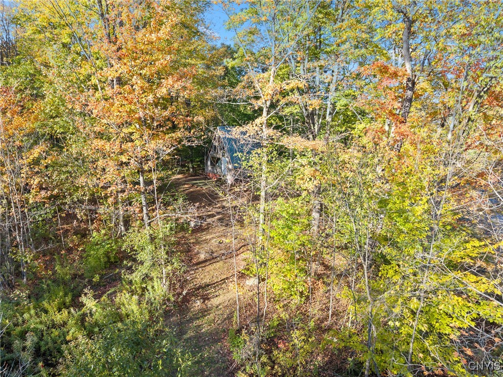 5539 Brown Road Lorraine, NY 13605 - Photo 29 of 29