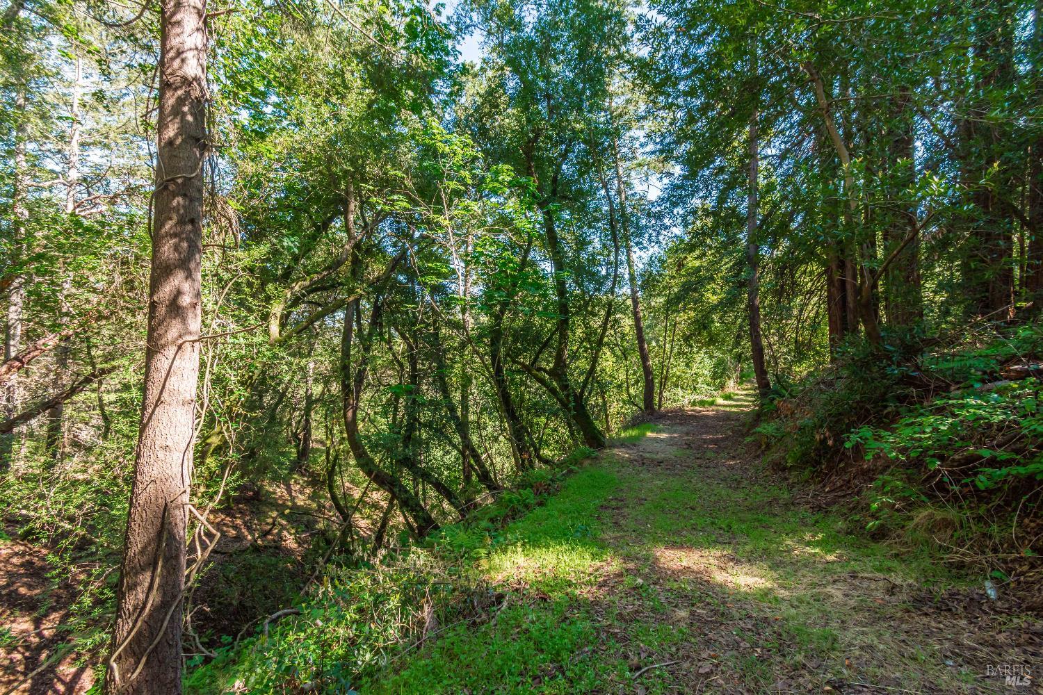 0 Dry Creek Road Napa, CA 94558 - Photo 39 of 98