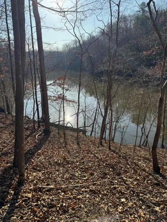 $49,500 | Lot 26 Poplar Drive, Hardy, VA 24101