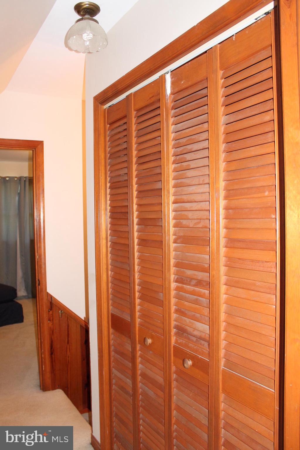 1615 Pleasant View Road Mount Jackson, VA 22842 - Photo 78 of 131 Hall Closet