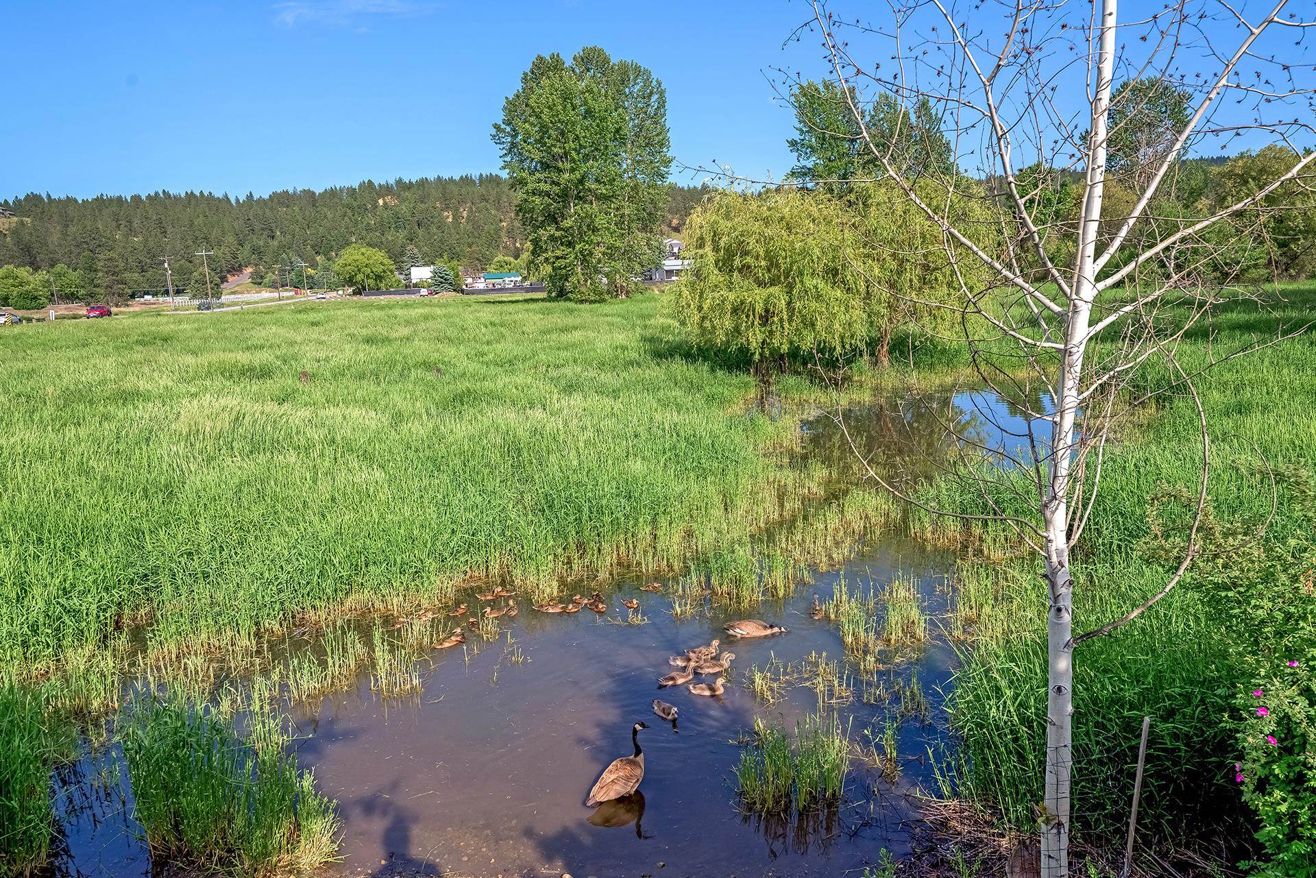 11902 East Thorpe Road Spokane, WA 99206 - Photo 27 of 36