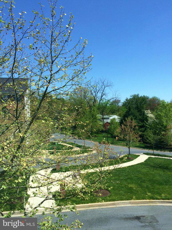 11344 King George Drive, Unit 5 Silver Spring, MD 20902 - Photo 11 of 30 a view of a park with large trees