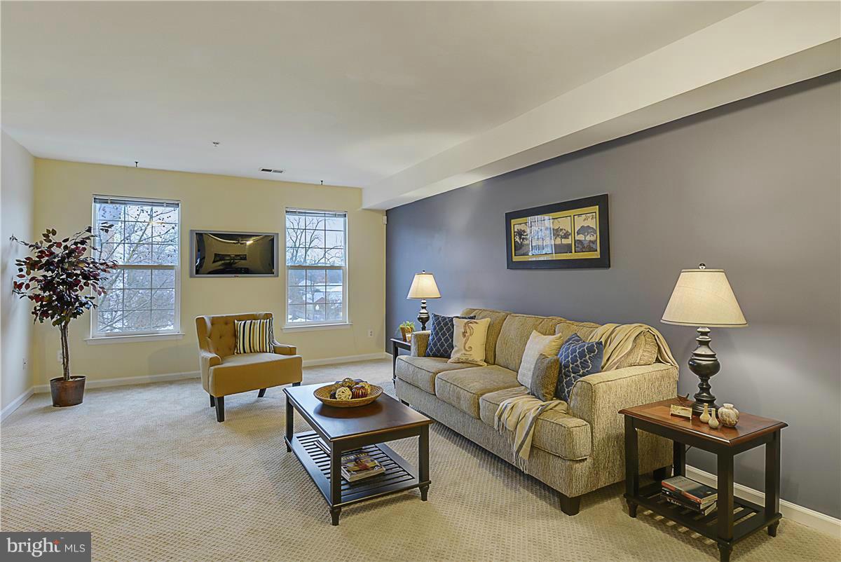 11344 King George Drive, Unit 5 Silver Spring, MD 20902 - Photo 9 of 30 a living room with furniture and a potted plant
