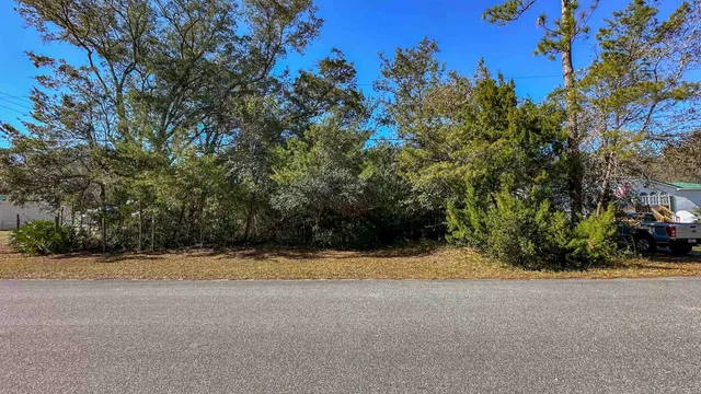 a view of a yard with plants and trees