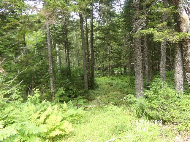 26 Spencer Road Howland, ME 04448 - Photo 17 of 23 Photo