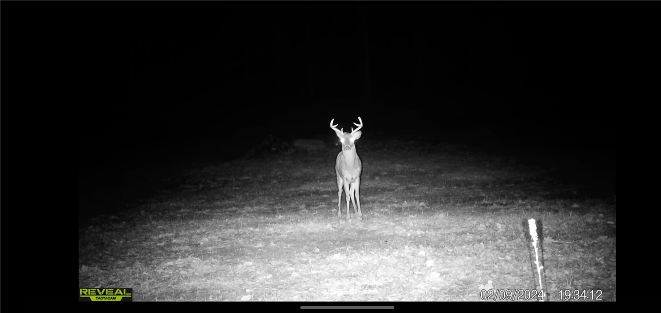 2093 Scott Road Erwin, NY 14858 - Photo 24 of 36 Gallery Image 24