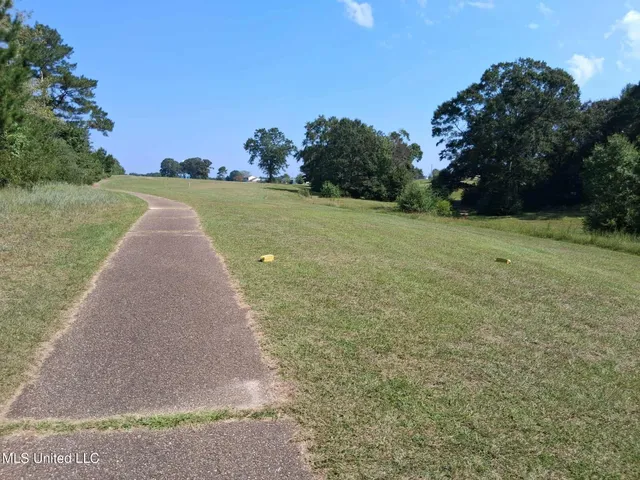 $220,000 | 45 Ladner Drive, Lumberton, MS 39455