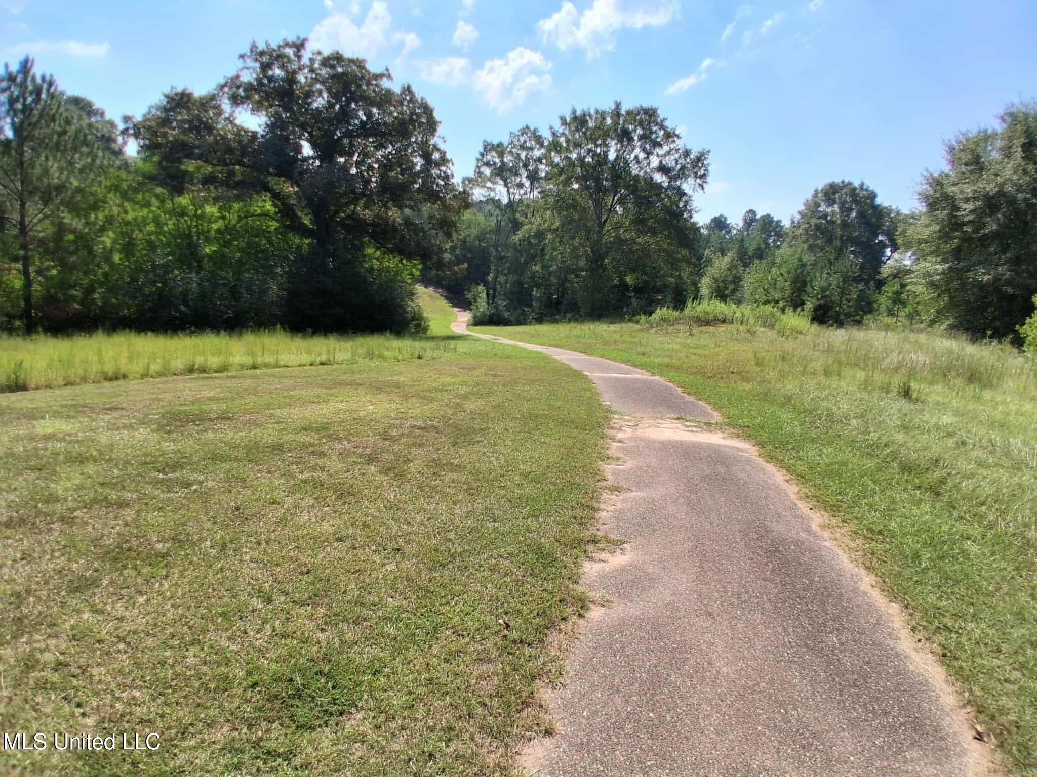 45 Ladner Drive Lumberton, MS 39455 - Photo 28 of 33 5c02ea6f-2559-4f4b-b8c2-0abea537818e